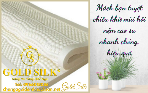 khử mùi hôi nệm cao su