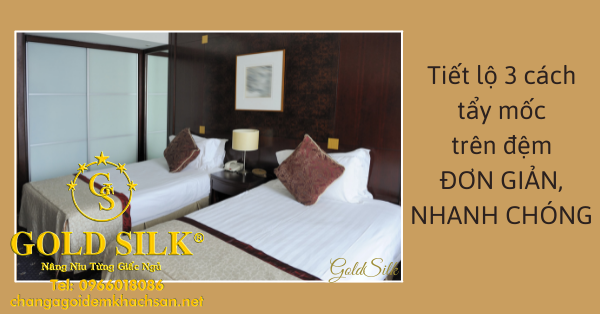 tẩy mốc trên đệm
